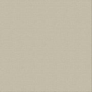 CARD STOCK 216gsm 10pack - Delicate Medlar 12 x 12
